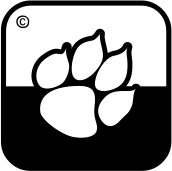 ANTIARAÑAZOS